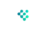לוגו emery cyber solutions, לקוח של TMI Productions
